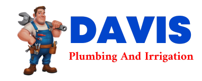 Trusted plumber in BIRCH RUN